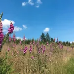 Wahl Schmallenberg
