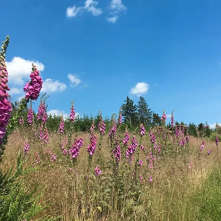 Wahl سشمالنبرغ